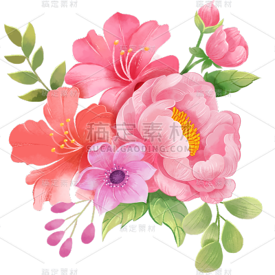 植物通用插画花朵组合元素素材