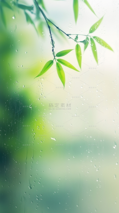 雨水实景玻璃水雾植物组合背景