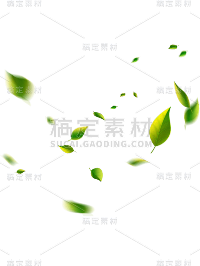 绿色落叶树叶绿叶贴纸