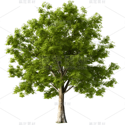 通用3D立体实景树绿色植物元素贴纸