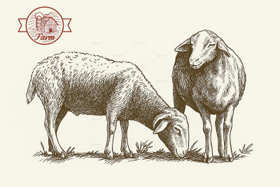 动物系列插画风农场小羊线稿（td）
