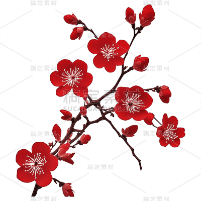 红色梅花