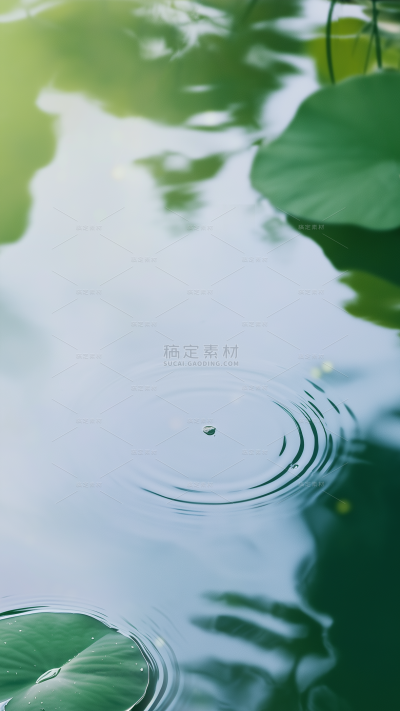 谷雨实景感水波纹小鱼背景