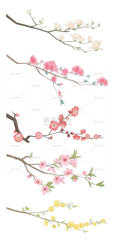 2309SC-素材组合-手绘春花花卉花枝植物元素