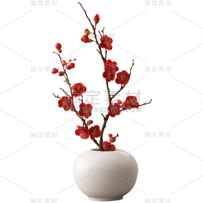 中国风禅意梅花盆栽
