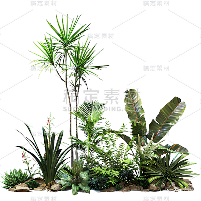 植物通用绿色实景景观绿植组合元素素材