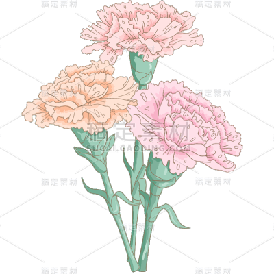 母亲节通用插画康乃馨鲜花花朵元素素材