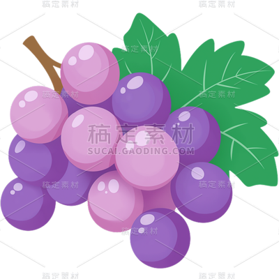 果蔬系列插画单串葡萄贴纸