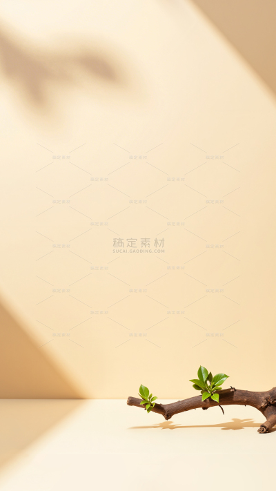 背景系列简约感光影植物展台