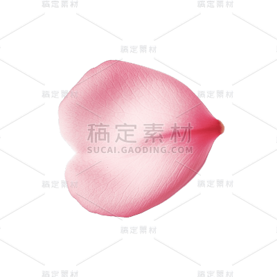 粉色花瓣