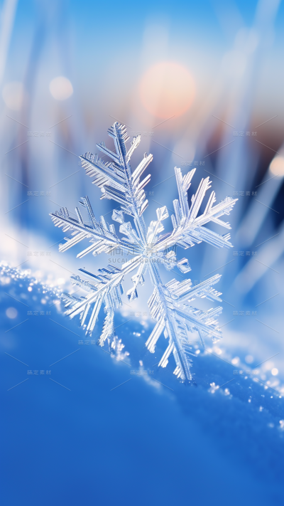 冬天冬季冬日雪景雪花特写