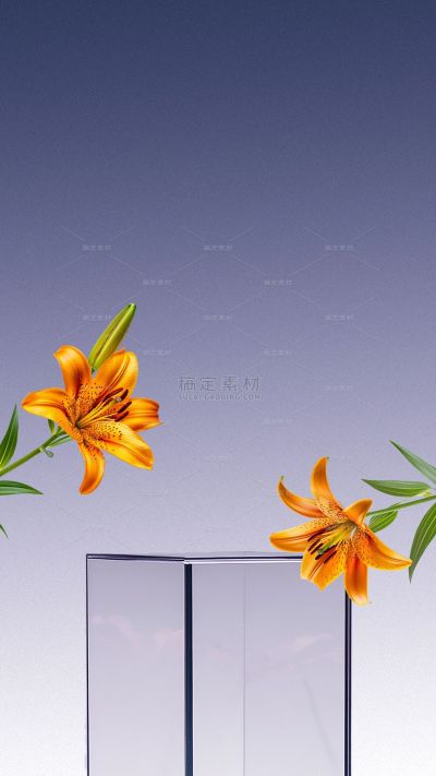 植物系列艺术感玻璃橘色百合花展台背景