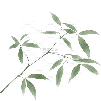植物系列中式风水墨叶子叶片元素