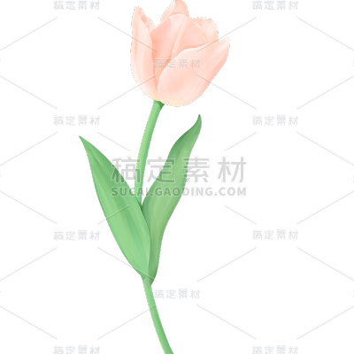 春天春日春季氛围感花朵植物插画元素素材