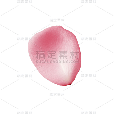 粉色花瓣