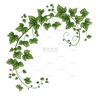 植物系列扁平插画风垂坠藤条