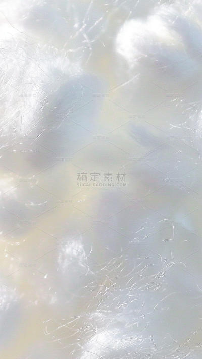 植物实景白色棉絮背景场景图片素材