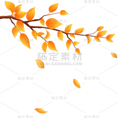 秋天秋季秋日立秋节气传统节日黄色树叶