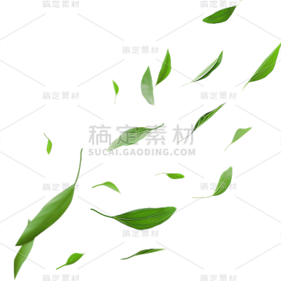 植物通用实景绿色动态落叶元素素材