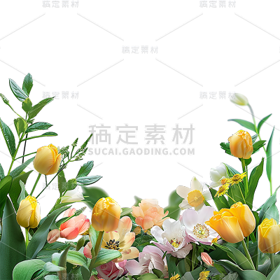 植物通用实景花朵边框元素素材