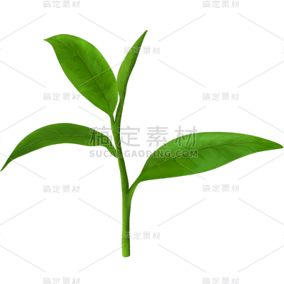 植物绿叶茶叶元素素材