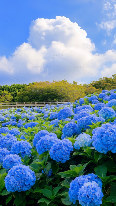 建筑系列实景花园背景图片