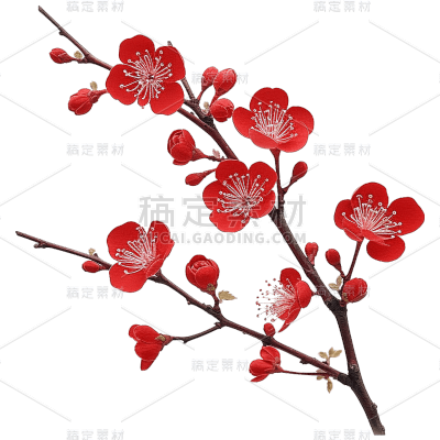 红色梅花