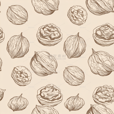 美食系列手绘风棕色核桃组合元素插画（td）