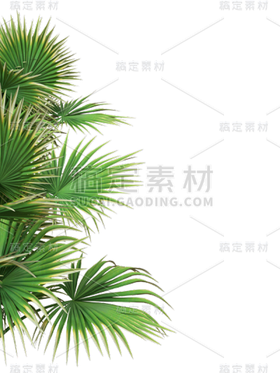 绿色叶子植物树叶