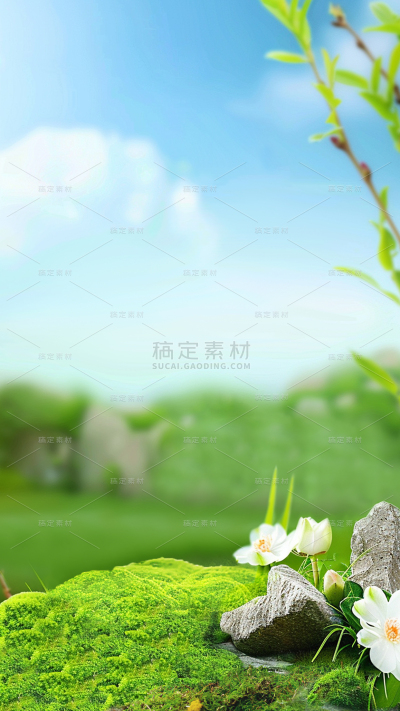 饮品系列绿色苔藓花朵自然系奶茶展台