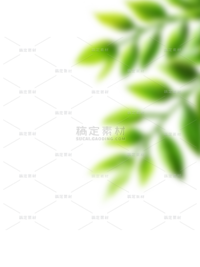 植物系列朦胧感模糊树叶叶片
