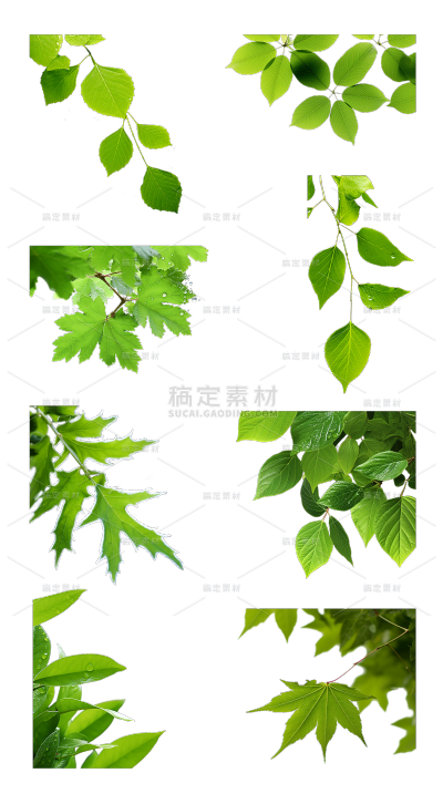 2309SC-素材组合-树叶贴纸-树上叶子
