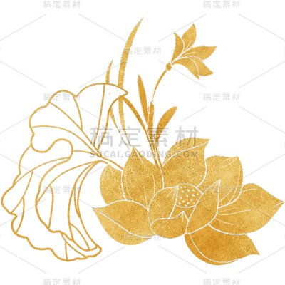 植物烫金花朵插画元素素材