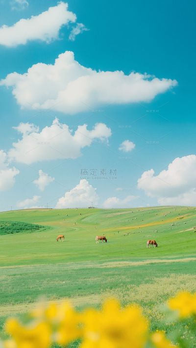 风光系列实景蓝天草地场景背景