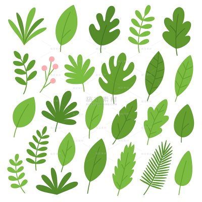 植物系列卡通风叶片插画元素组合（td）