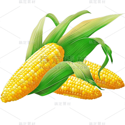 果蔬系列通用玉米写实感插画贴纸
