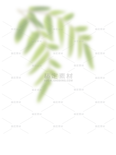 植物系列朦胧感模糊树叶叶片