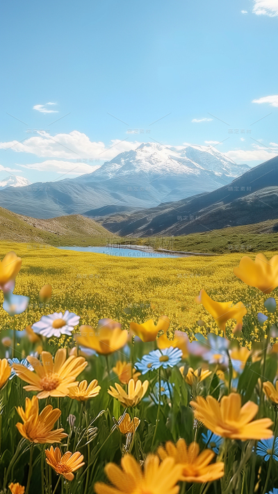 风光系列通用实景特写花朵场景背景