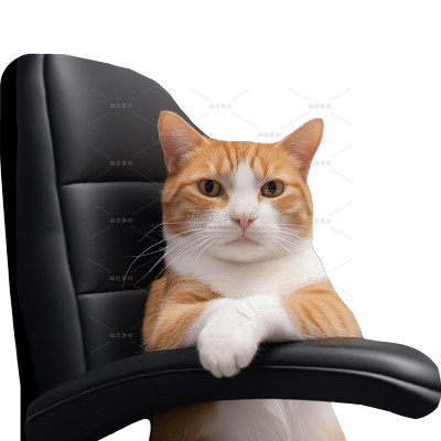 小红书meme搞怪爆款封面动物猫咪贴纸