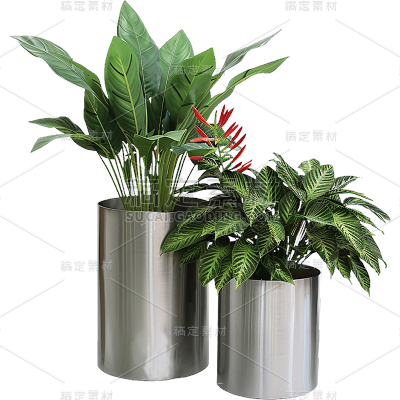 植物实景多个盆栽绿植元素素材