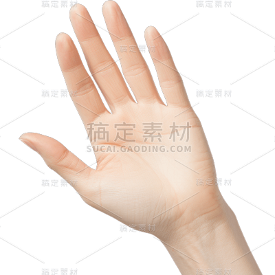 手部静态贴纸