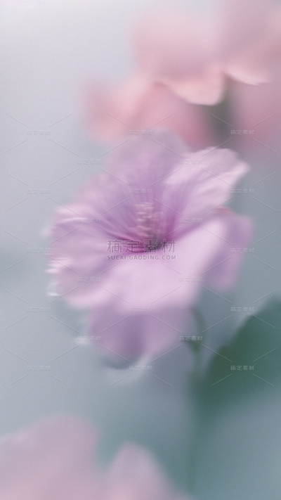 春天梦幻蒙版植物花卉背景元素素材