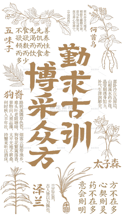 中国风系列插画风中医药植物文字底纹元素