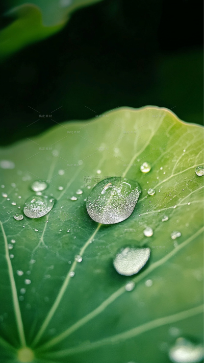 雨水实景感雨天氛围场景背景