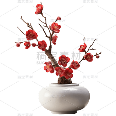 中国风禅意梅花盆栽