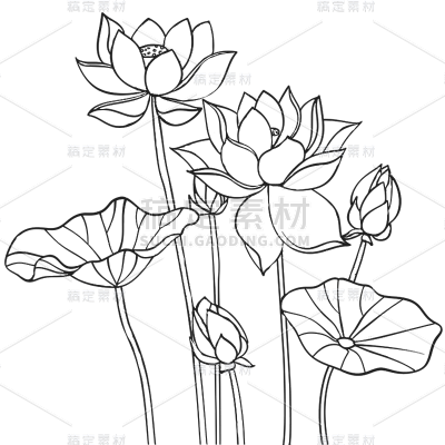 植物通用中式黑色线条荷花荷叶元素素材