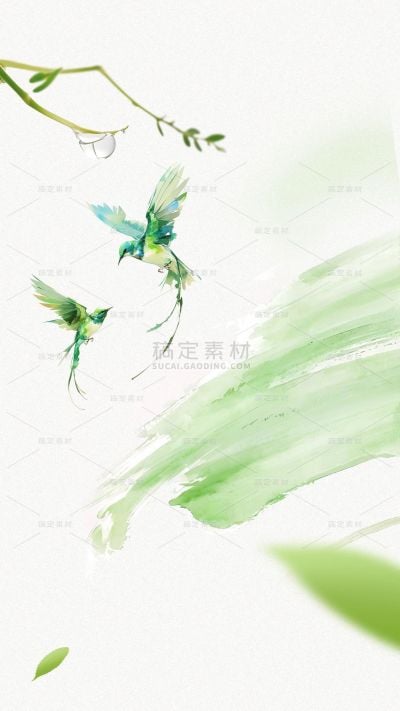 谷雨简约肌理笔刷水彩小鸟背景