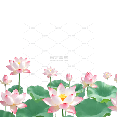 植物系列插画风大片睡莲元素