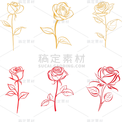 植物插画线条玫瑰花元素素材组合合集