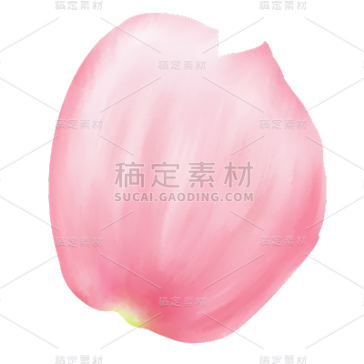粉色玫瑰花花瓣